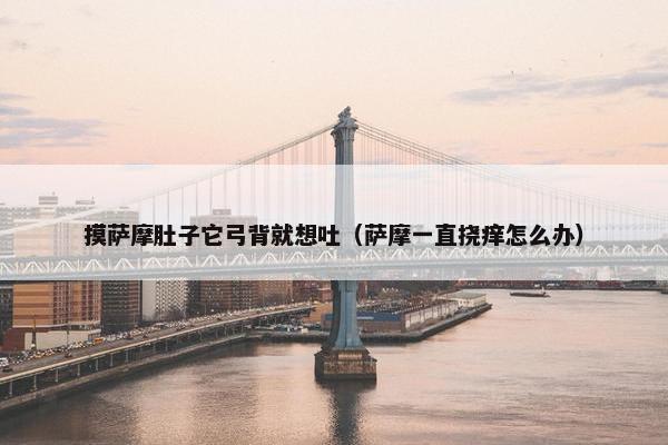 摸萨摩肚子它弓背就想吐（萨摩一直挠痒怎么办）