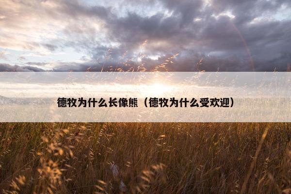 德牧为什么长像熊（德牧为什么受欢迎）