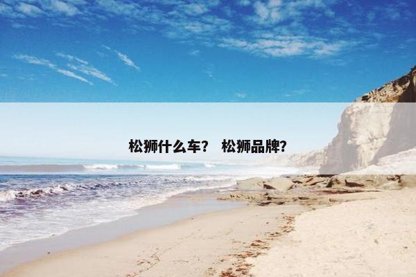 松狮什么车？ 松狮品牌？
