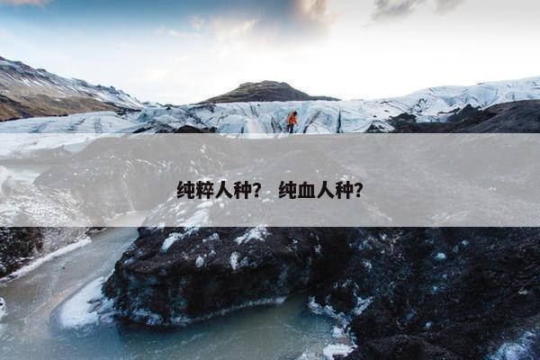 纯粹人种？ 纯血人种？