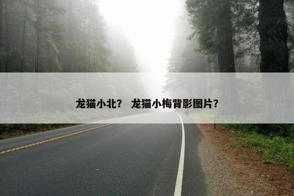 龙猫小北？ 龙猫小梅背影图片？