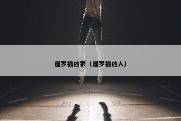 暹罗猫凶狠（暹罗猫凶人）