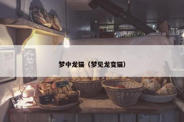 梦中龙猫（梦见龙变猫）