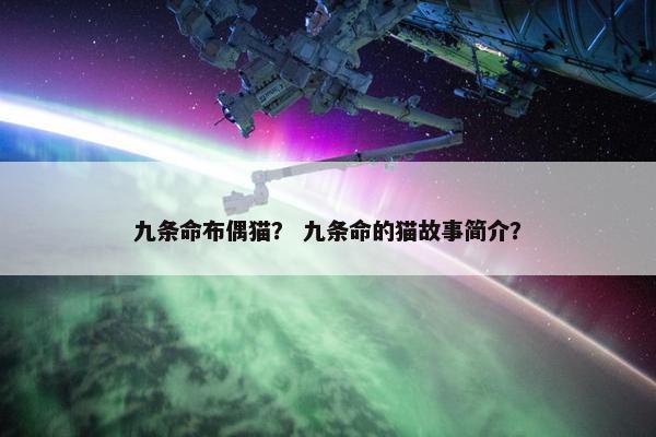 九条命布偶猫？ 九条命的猫故事简介？