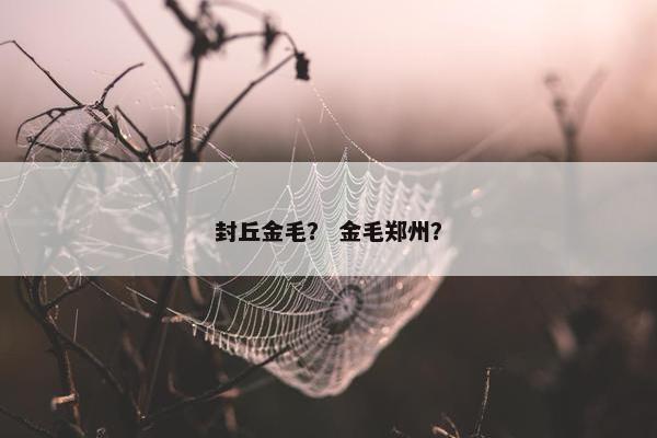 封丘金毛？ 金毛郑州？