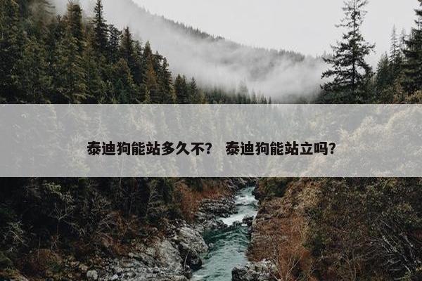 泰迪狗能站多久不？ 泰迪狗能站立吗？