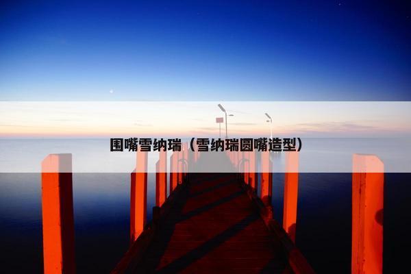 围嘴雪纳瑞（雪纳瑞圆嘴造型）