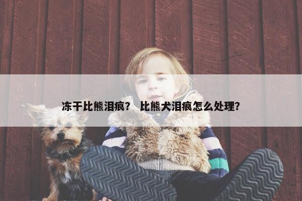 冻干比熊泪痕？ 比熊犬泪痕怎么处理？