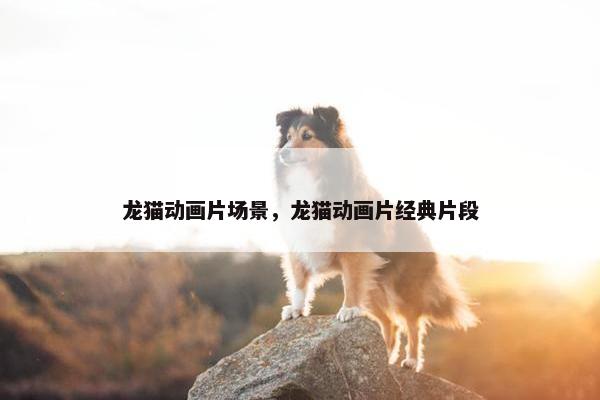 龙猫动画片场景，龙猫动画片经典片段