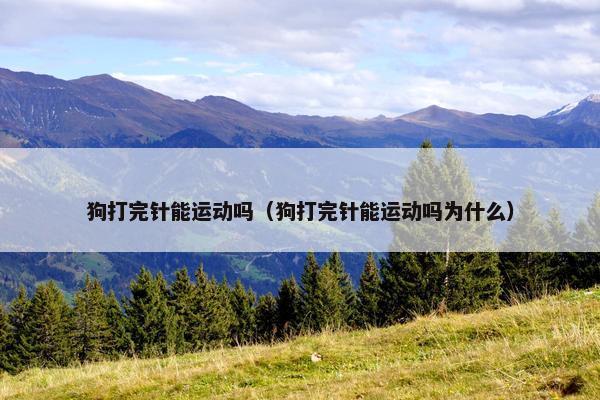 狗打完针能运动吗（狗打完针能运动吗为什么）