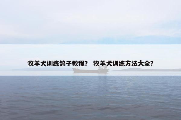 牧羊犬训练鸽子教程？ 牧羊犬训练方法大全？