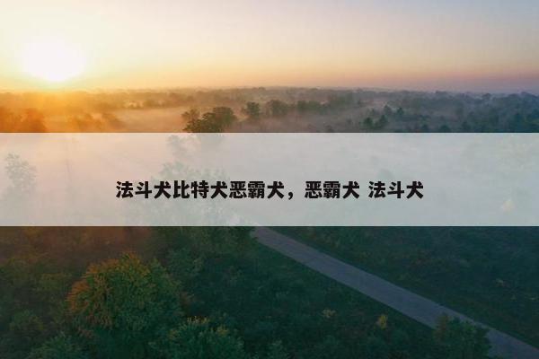 法斗犬比特犬恶霸犬，恶霸犬 法斗犬