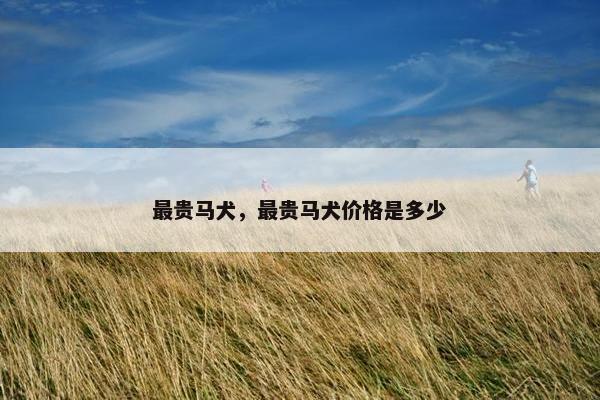 最贵马犬，最贵马犬价格是多少