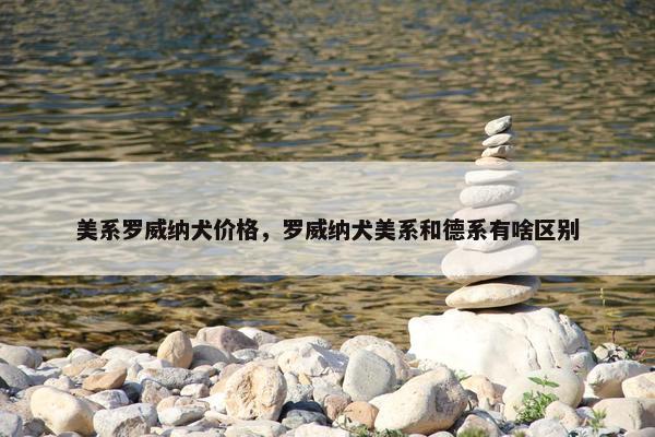 美系罗威纳犬价格，罗威纳犬美系和德系有啥区别