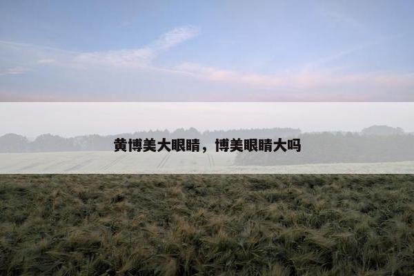 黄博美大眼睛，博美眼睛大吗