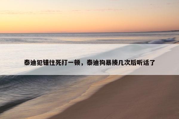 泰迪犯错往死打一顿，泰迪狗暴揍几次后听话了