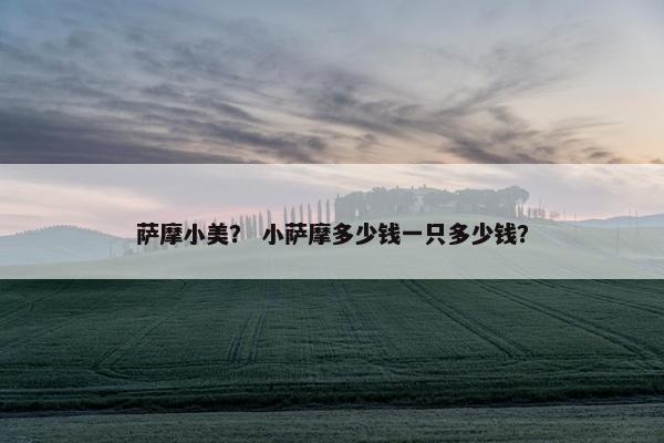 萨摩小美？ 小萨摩多少钱一只多少钱？