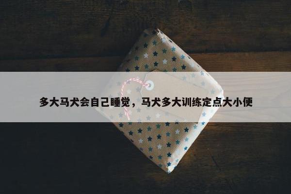 多大马犬会自己睡觉，马犬多大训练定点大小便