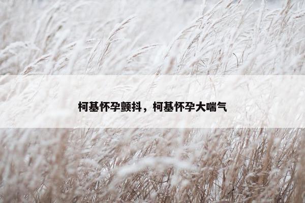 柯基怀孕颤抖，柯基怀孕大喘气