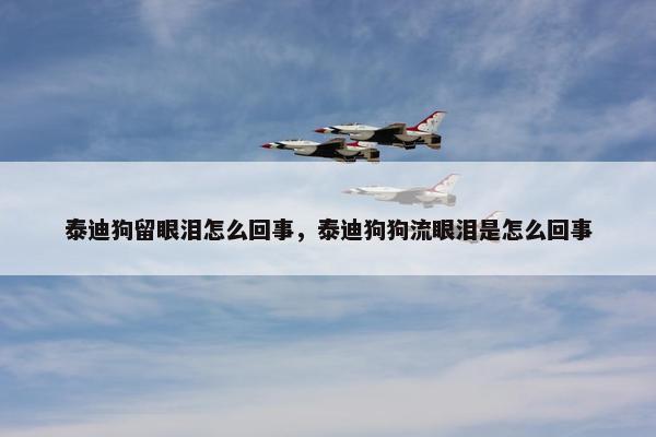 泰迪狗留眼泪怎么回事，泰迪狗狗流眼泪是怎么回事