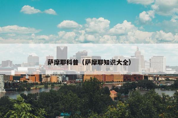 萨摩耶科普（萨摩耶知识大全）