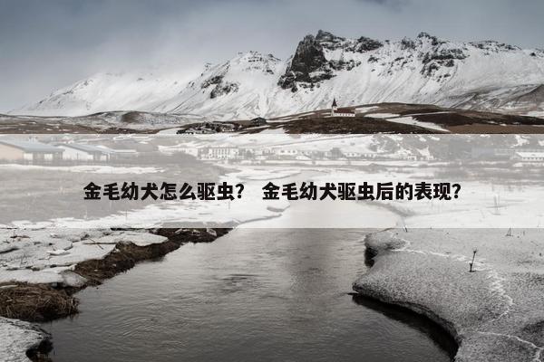 金毛幼犬怎么驱虫？ 金毛幼犬驱虫后的表现？