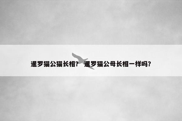 暹罗猫公猫长相？ 暹罗猫公母长相一样吗？