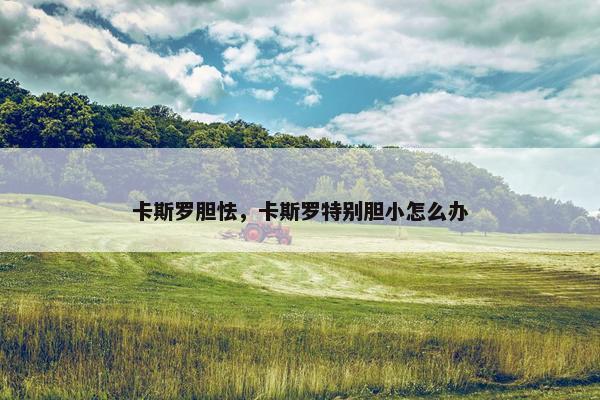 卡斯罗胆怯，卡斯罗特别胆小怎么办