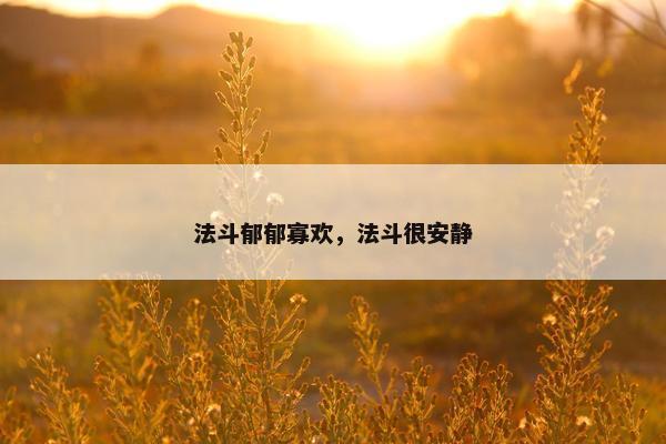 法斗郁郁寡欢，法斗很安静