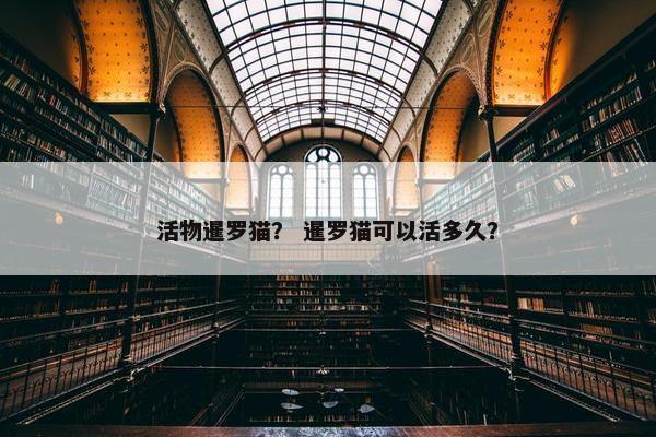 活物暹罗猫？ 暹罗猫可以活多久？