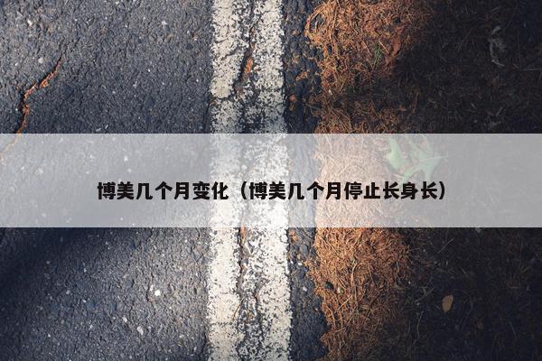 博美几个月变化（博美几个月停止长身长）