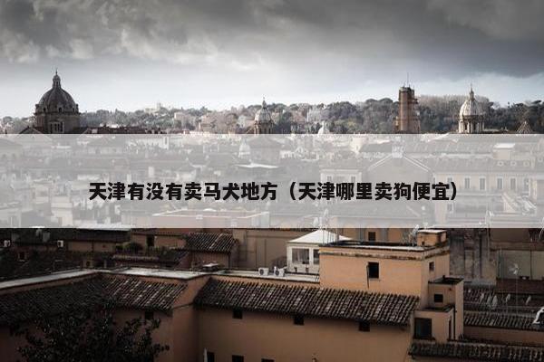 天津有没有卖马犬地方（天津哪里卖狗便宜）