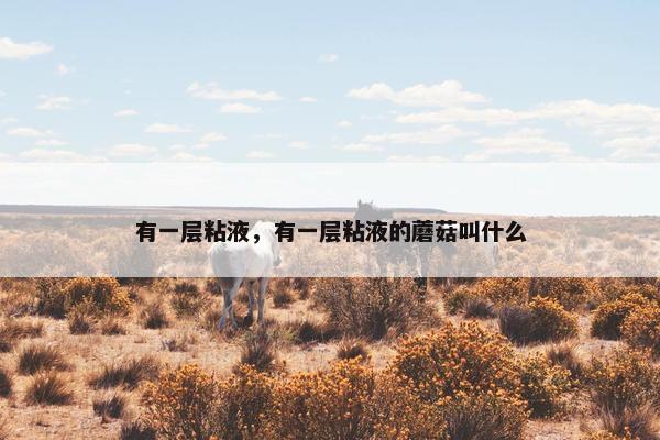 有一层粘液，有一层粘液的蘑菇叫什么