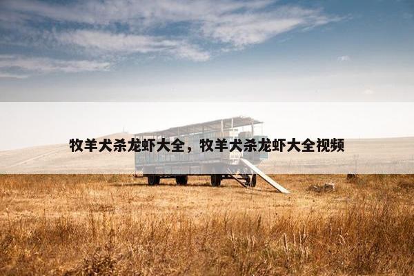 牧羊犬杀龙虾大全，牧羊犬杀龙虾大全视频