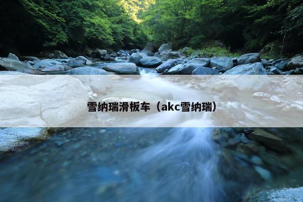 雪纳瑞滑板车（akc雪纳瑞）