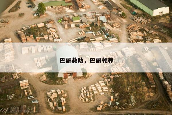 巴哥救助，巴哥领养