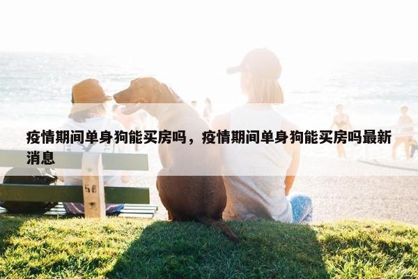 疫情期间单身狗能买房吗，疫情期间单身狗能买房吗最新消息