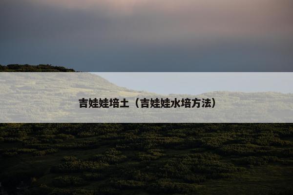 吉娃娃培土（吉娃娃水培方法）