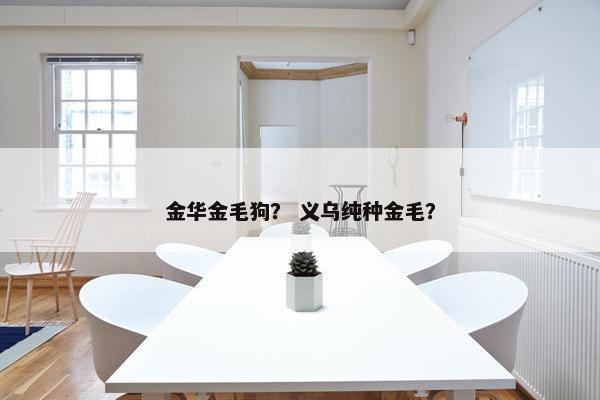 金华金毛狗？ 义乌纯种金毛？
