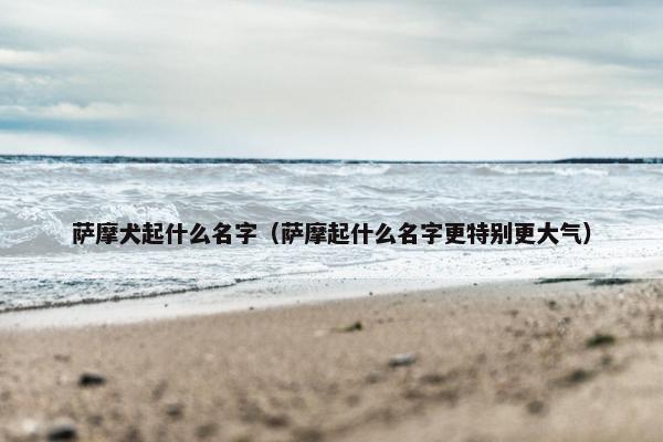 萨摩犬起什么名字（萨摩起什么名字更特别更大气）