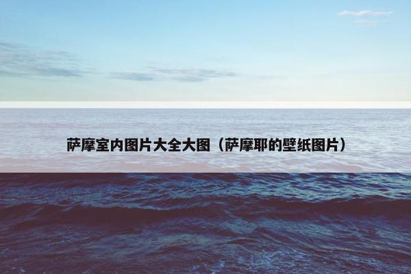 萨摩室内图片大全大图（萨摩耶的壁纸图片）