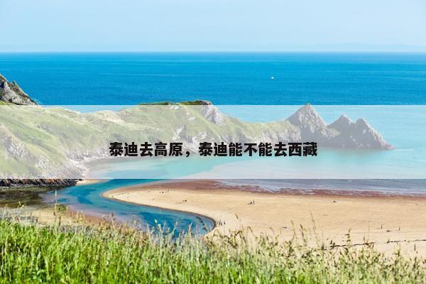 泰迪去高原，泰迪能不能去西藏