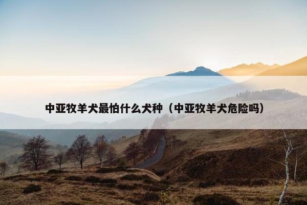 中亚牧羊犬最怕什么犬种（中亚牧羊犬危险吗）