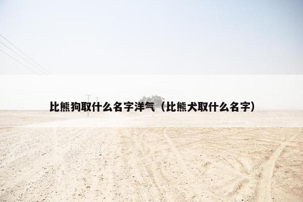 比熊狗取什么名字洋气（比熊犬取什么名字）
