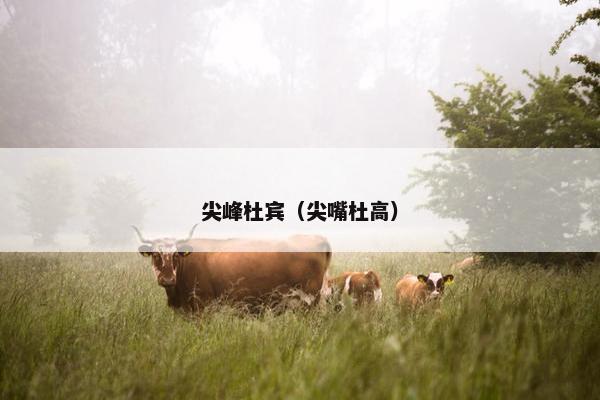 尖峰杜宾（尖嘴杜高）