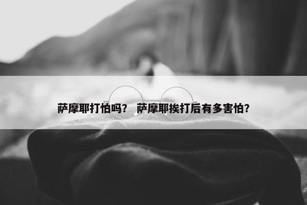 萨摩耶打怕吗？ 萨摩耶挨打后有多害怕？