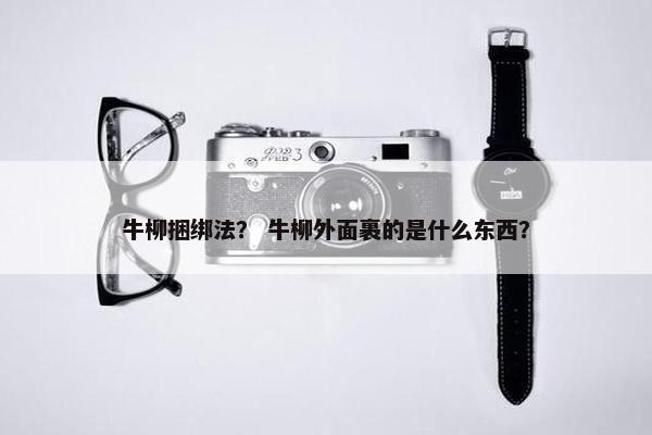 牛柳捆绑法？ 牛柳外面裹的是什么东西？