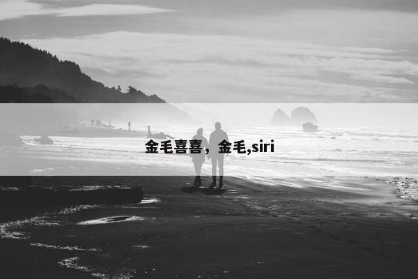 金毛喜喜，金毛,siri