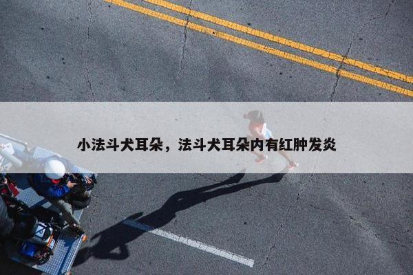 小法斗犬耳朵，法斗犬耳朵内有红肿发炎