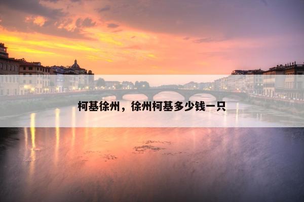 柯基徐州，徐州柯基多少钱一只